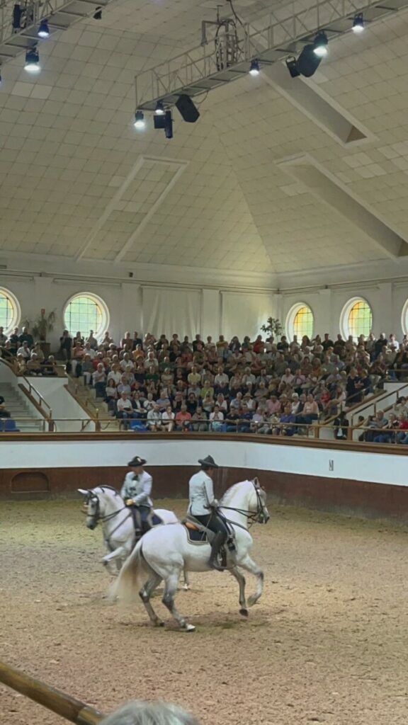 Ecole Royale d'art equestre Jerez de la Frontera